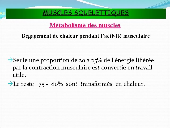 MUSCLES SQUELETTIQUES MUSCLES ET TISSU MUSCULAIRE Métabolisme des muscles Dégagement de chaleur pendant l’activité