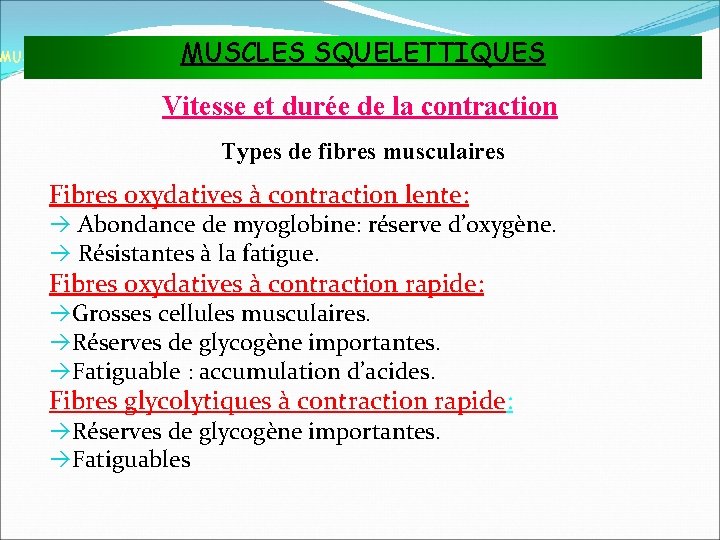 MUSCLES SQUELETTIQUES MUSCLES ET TISSU MUSCULAIRE Vitesse et durée de la contraction Types de