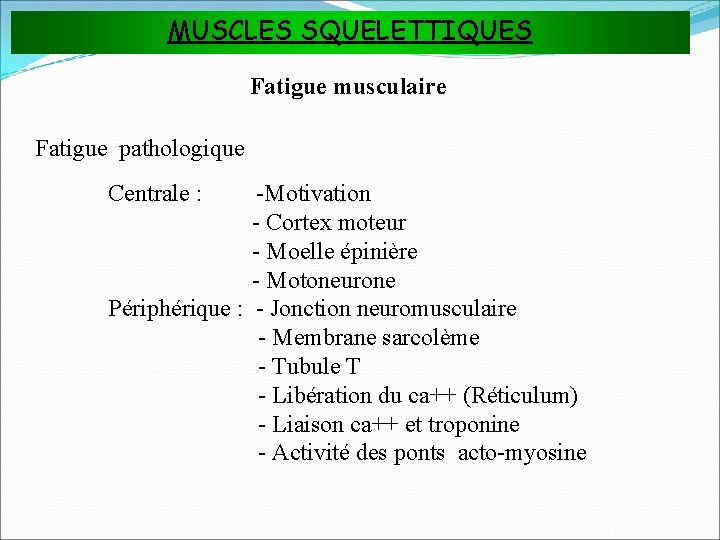 MUSCLES SQUELETTIQUES Fatigue musculaire Fatigue pathologique Centrale : -Motivation - Cortex moteur - Moelle