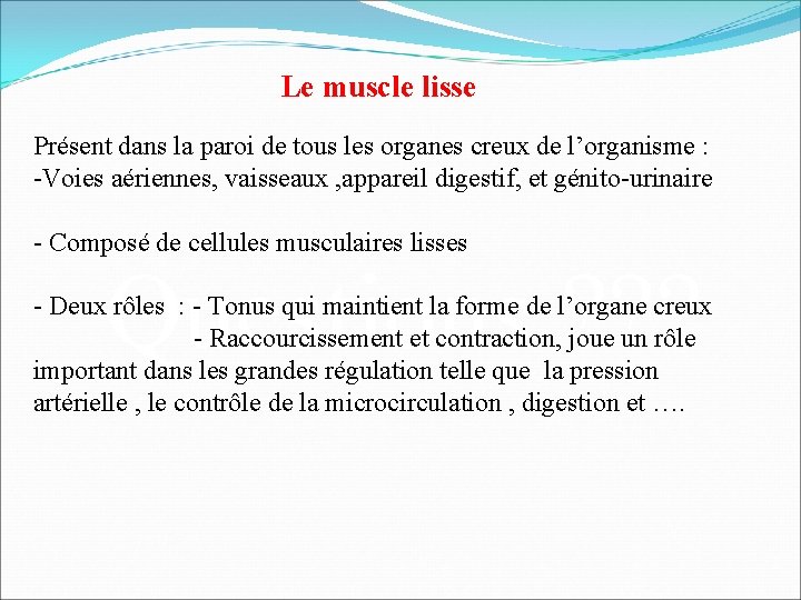 Le muscle lisse Présent dans la paroi de tous les organes creux de l’organisme