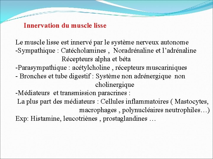 Innervation du muscle lisse Le muscle lisse est innervé par le système nerveux autonome