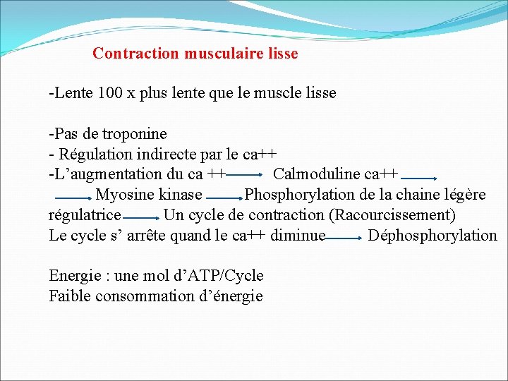 Contraction musculaire lisse -Lente 100 x plus lente que le muscle lisse -Pas de