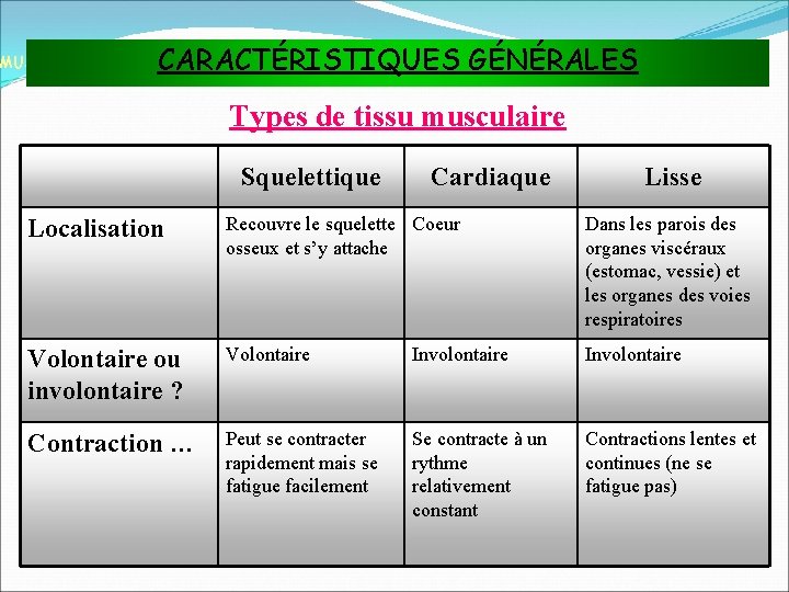 CARACTÉRISTIQUES GÉNÉRALES MUSCLES ET TISSU MUSCULAIRE Types de tissu musculaire Régulation hormonale de la