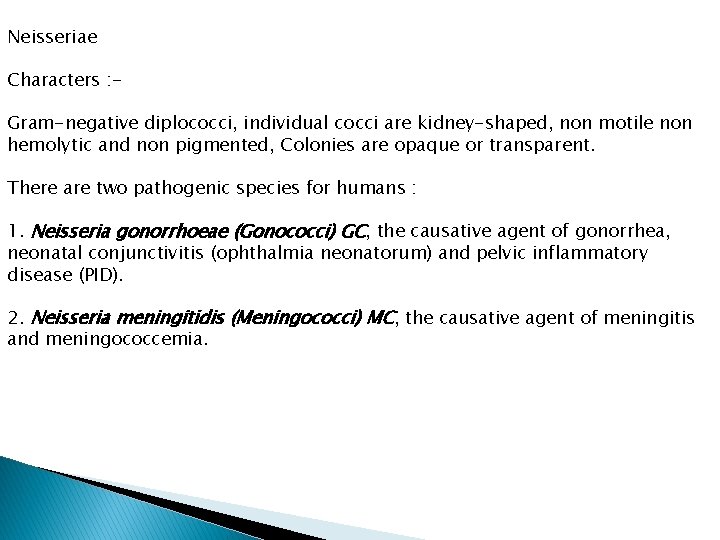 Neisseriae Characters : Gram-negative diplococci, individual cocci are kidney-shaped, non motile non hemolytic and