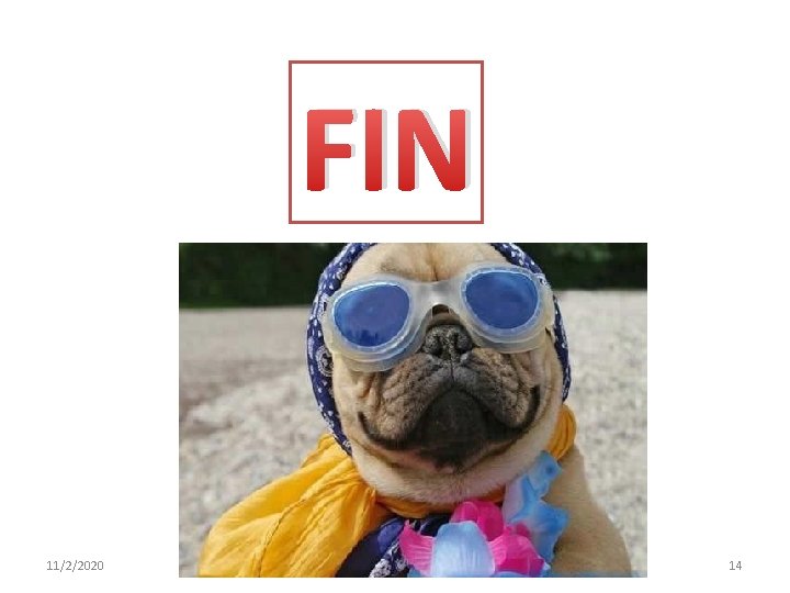 FIN 11/2/2020 14 