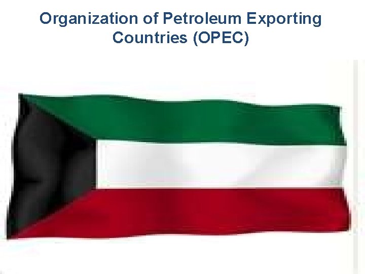 Organization of Petroleum Exporting Countries (OPEC) 