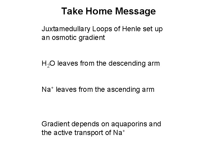 Take Home Message Juxtamedullary Loops of Henle set up an osmotic gradient H 2