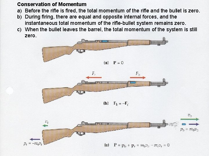 Conservation of Momentum a) Before the rifle is fired, the total momentum of the