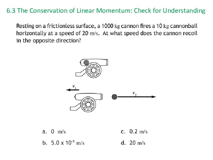 6. 3 The Conservation of Linear Momentum: Check for Understanding 