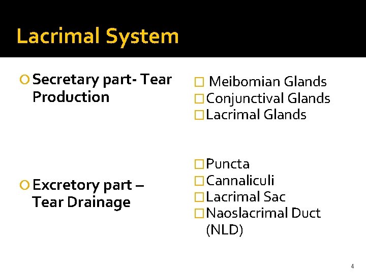 Lacrimal System Secretary part- Tear Production Excretory part – Tear Drainage � Meibomian Glands