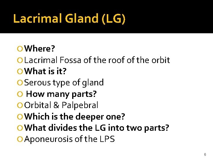 Lacrimal Gland (LG) Where? Lacrimal Fossa of the roof of the orbit What is