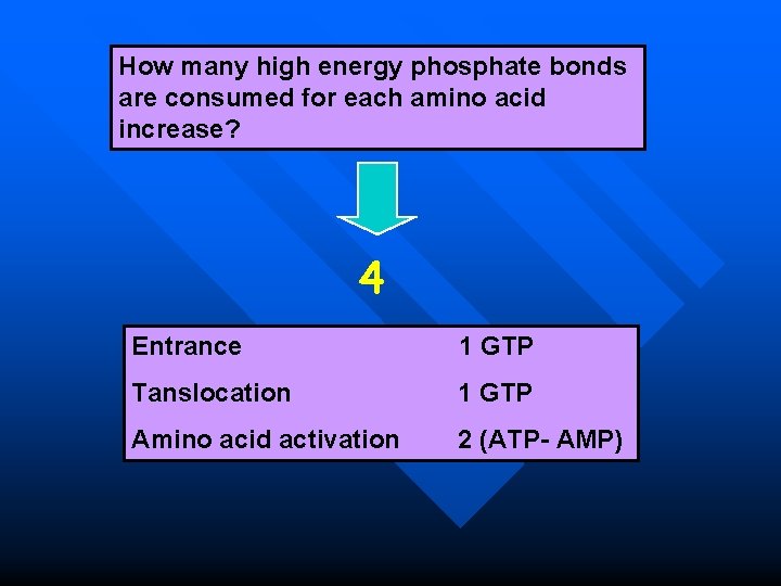 How many high energy phosphate bonds are consumed for each amino acid increase? 4