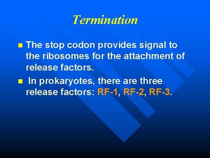 Termination The stop codon provides signal to the ribosomes for the attachment of release