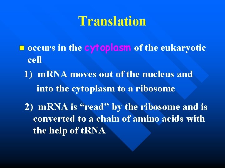 Translation occurs in the cytoplasm of the eukaryotic cell 1) m. RNA moves out