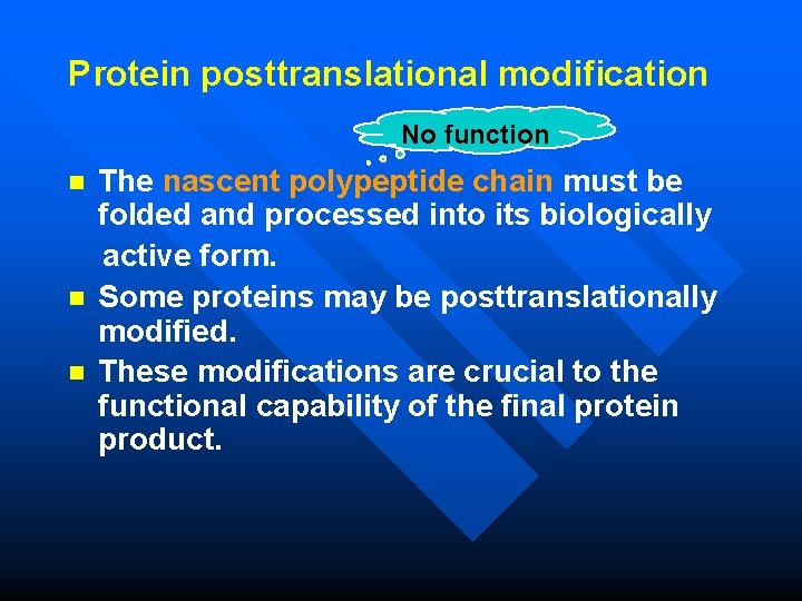 Protein posttranslational modification No function The nascent polypeptide chain must be folded and processed