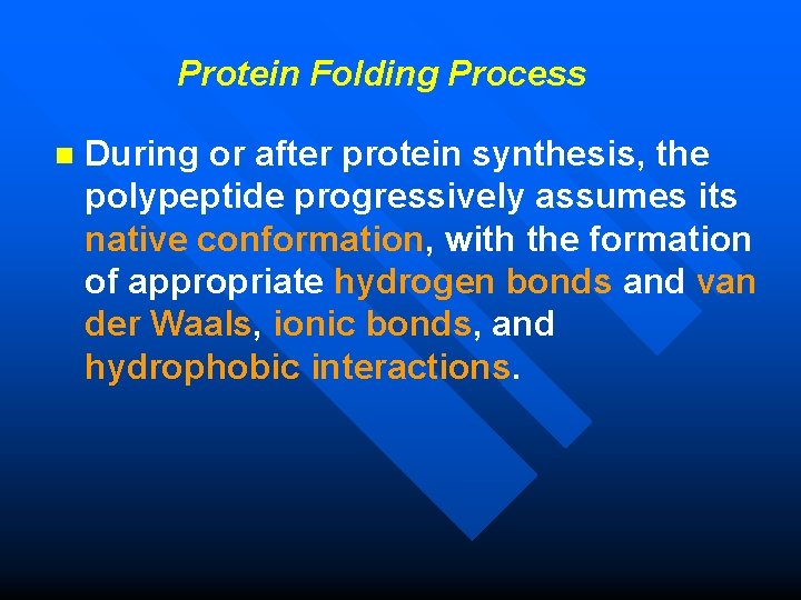  Protein Folding Process n During or after protein synthesis, the polypeptide progressively assumes