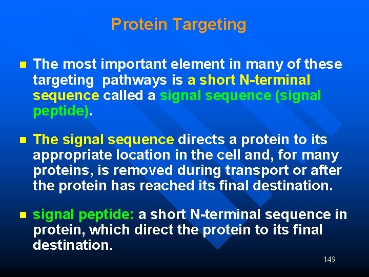 Protein Targeting n The most important element in many of these targeting pathways is