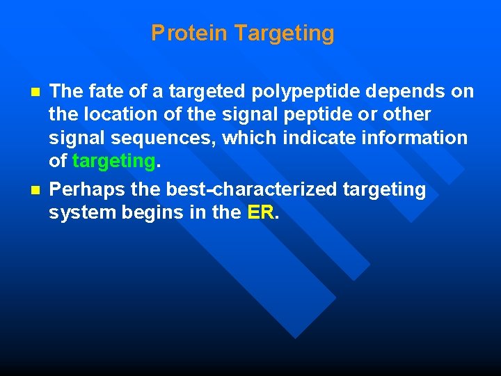 Protein Targeting n n The fate of a targeted polypeptide depends on the location