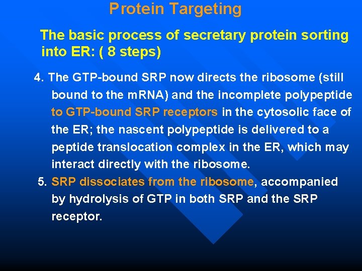 Protein Targeting The basic process of secretary protein sorting into ER: ( 8 steps)