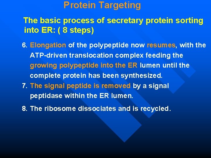 Protein Targeting The basic process of secretary protein sorting into ER: ( 8 steps)