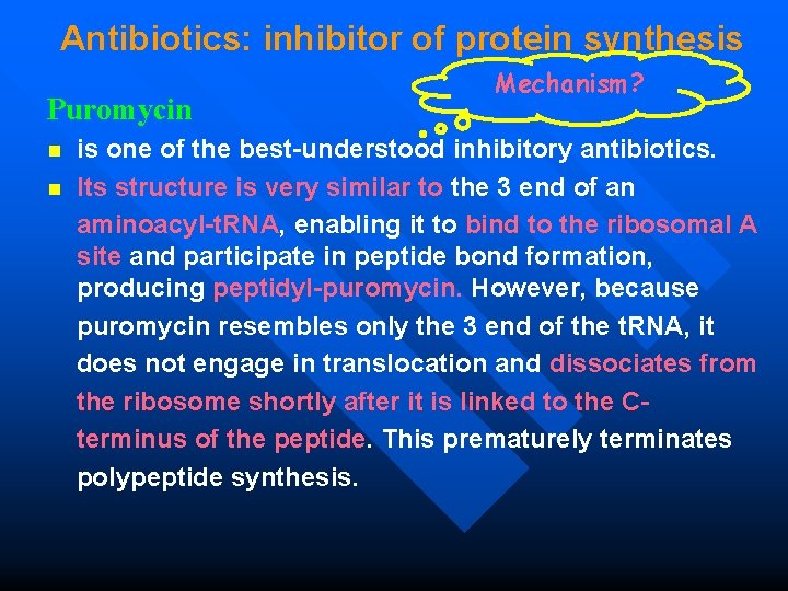 Antibiotics: inhibitor of protein synthesis Puromycin Mechanism? is one of the best-understood inhibitory antibiotics.