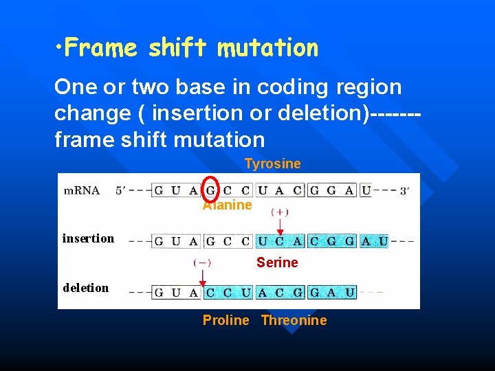  • Frame shift mutation One or two base in coding region change (