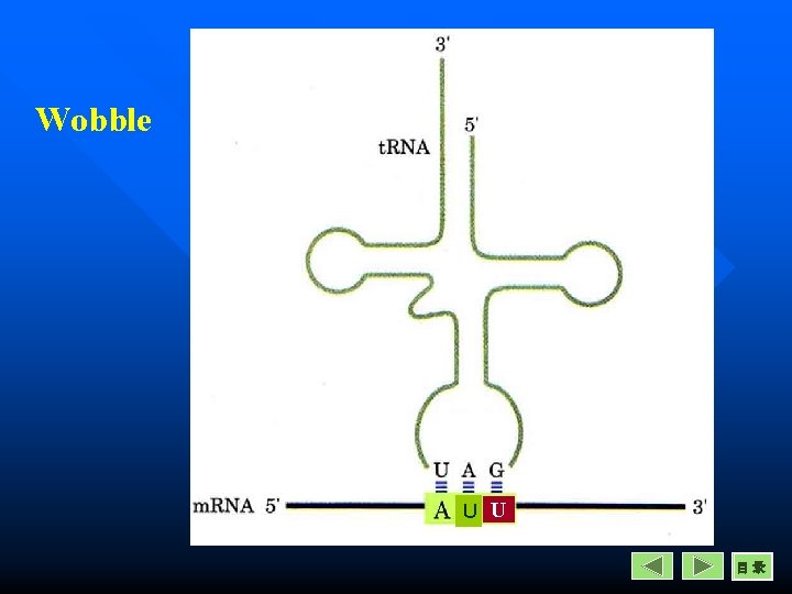 Wobble U U 目录 