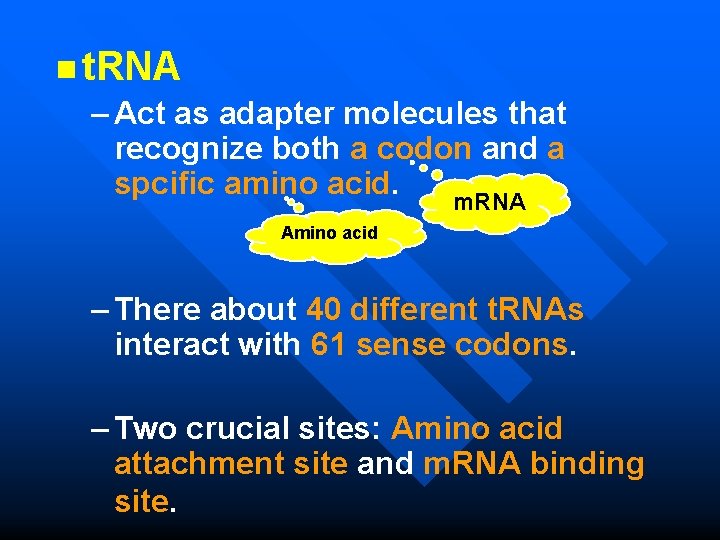 n t. RNA – Act as adapter molecules that recognize both a codon and
