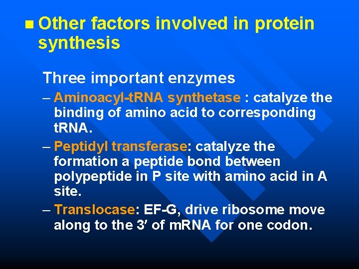 n Other factors involved in protein synthesis Three important enzymes – Aminoacyl-t. RNA synthetase