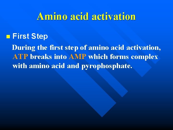 Amino acid activation n First Step During the first step of amino acid activation,