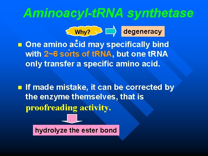 Aminoacyl-t. RNA synthetase Why? degeneracy n One amino acid may specifically bind with 2~6