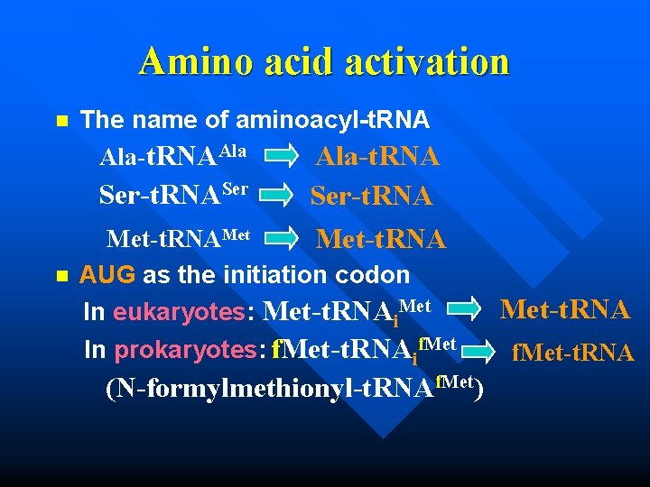 Amino acid activation n The name of aminoacyl-t. RNA Ala-t. RNAAla Ser-t. RNASer Ser-t.