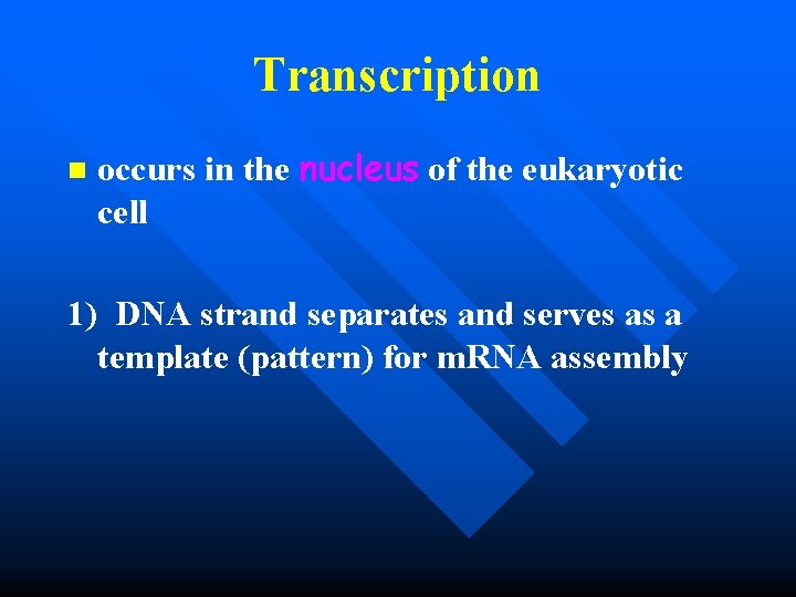 Transcription n occurs in the nucleus of the eukaryotic cell 1) DNA strand separates