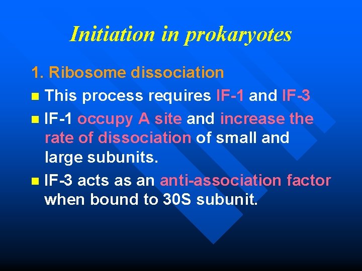 Initiation in prokaryotes 1. Ribosome dissociation n This process requires IF-1 and IF-3 n