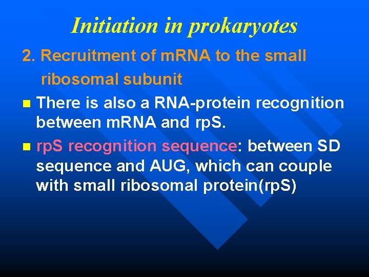 Initiation in prokaryotes 2. Recruitment of m. RNA to the small ribosomal subunit n