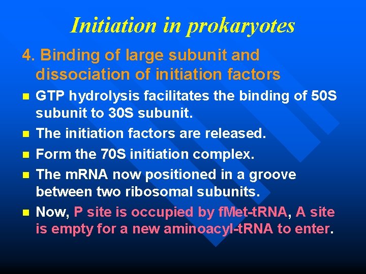 Initiation in prokaryotes 4. Binding of large subunit and dissociation of initiation factors n