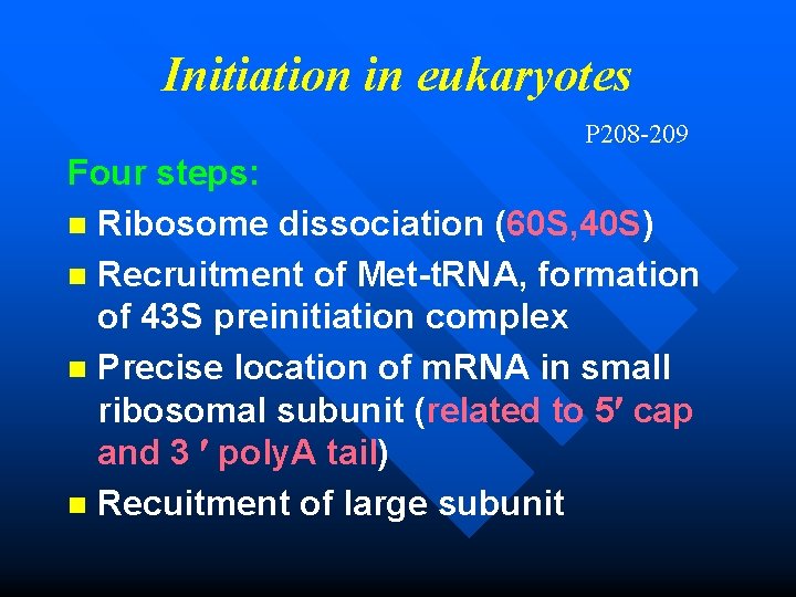 Initiation in eukaryotes P 208 -209 Four steps: n Ribosome dissociation (60 S, 40