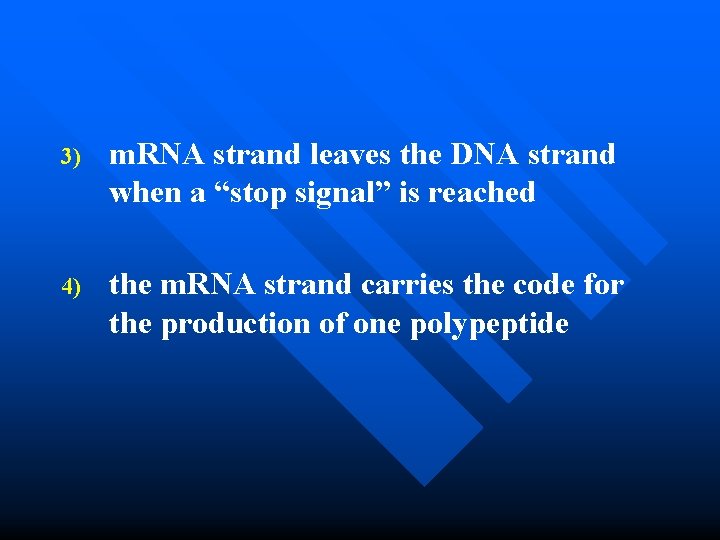 3) m. RNA strand leaves the DNA strand when a “stop signal” is reached