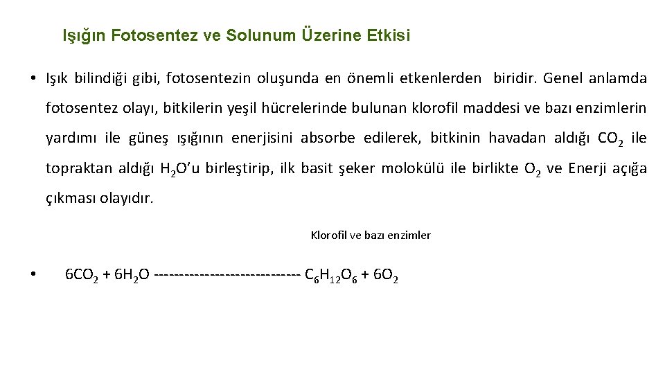 Işığın Fotosentez ve Solunum Üzerine Etkisi • Işık bilindiği gibi, fotosentezin oluşunda en önemli