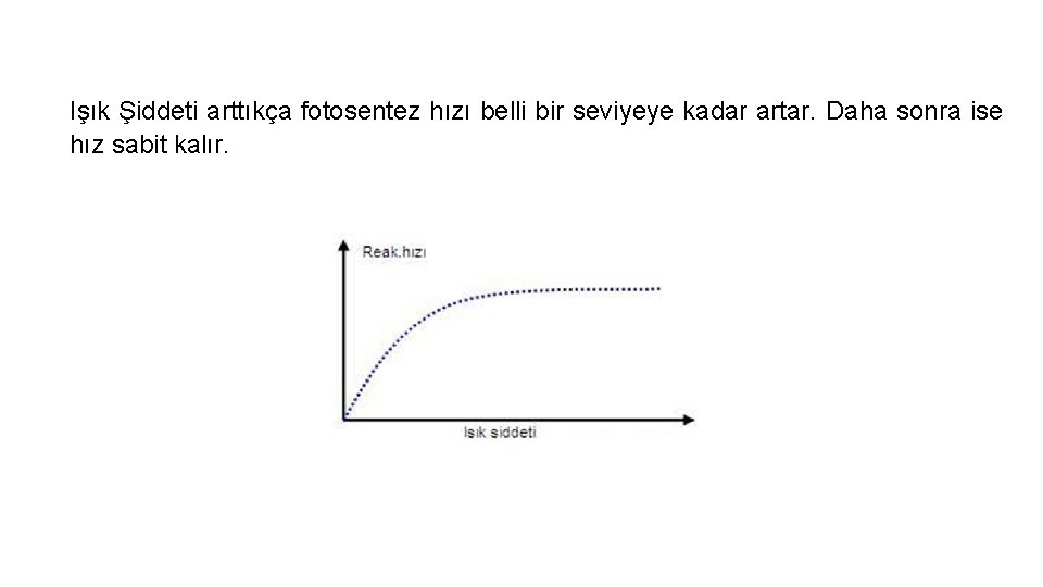 Işık Şiddeti arttıkça fotosentez hızı belli bir seviyeye kadar artar. Daha sonra ise hız