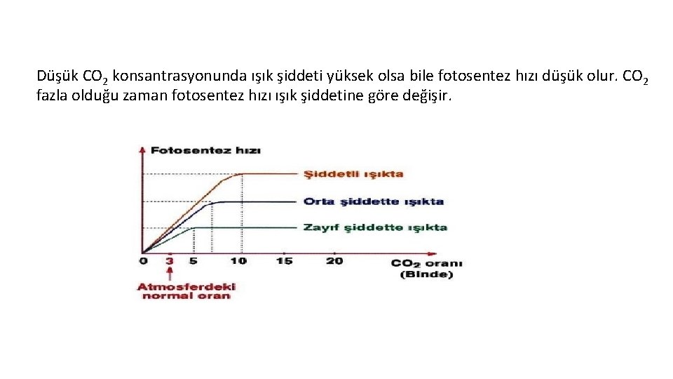 Düşük CO 2 konsantrasyonunda ışık şiddeti yüksek olsa bile fotosentez hızı düşük olur. CO