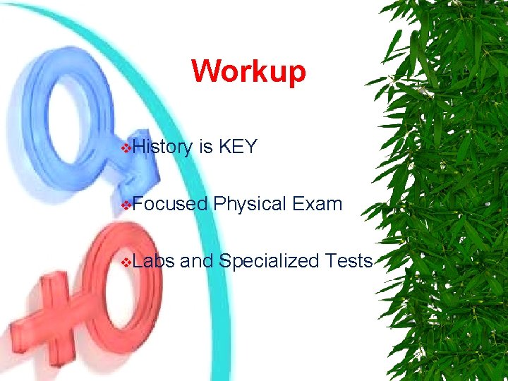 Workup v. History is KEY v. Focused v. Labs Physical Exam and Specialized Tests