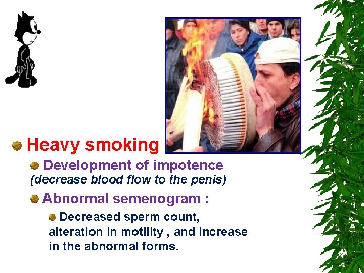 Heavy smoking Development of impotence (decrease blood flow to the penis) Abnormal semenogram :