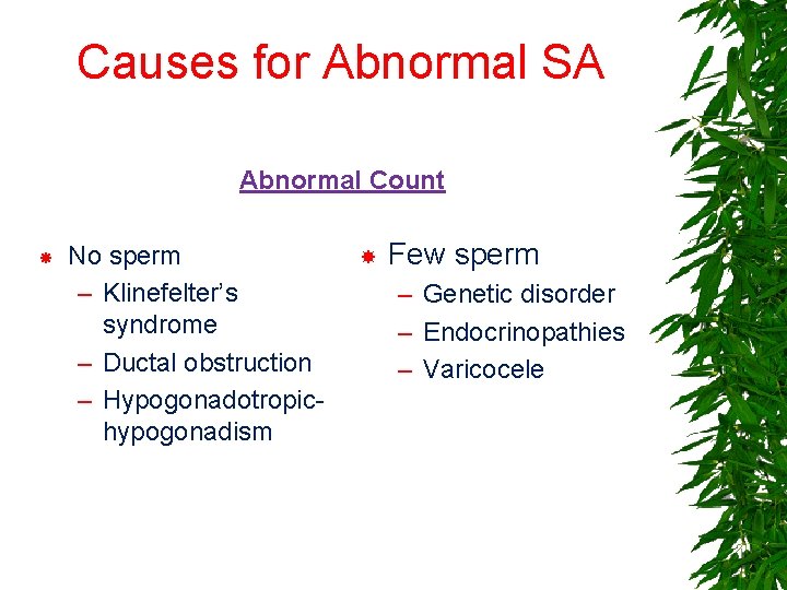 Causes for Abnormal SA Abnormal Count No sperm – Klinefelter’s syndrome – Ductal obstruction