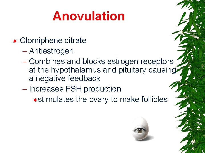 Anovulation Clomiphene citrate – Antiestrogen – Combines and blocks estrogen receptors at the hypothalamus