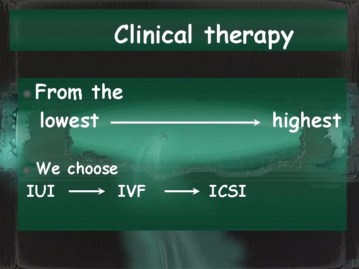 Clinical therapy From the lowest We choose IUI IVF highest ICSI 