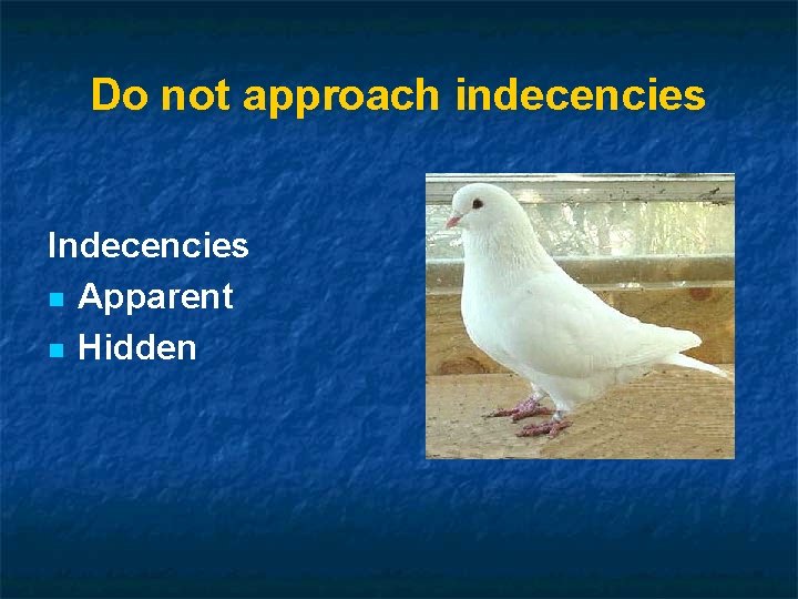 Do not approach indecencies Indecencies n Apparent n Hidden 