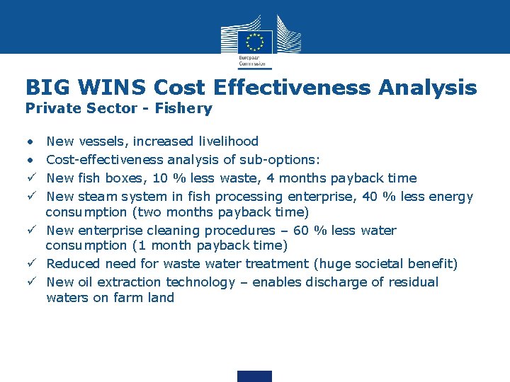 BIG WINS Cost Effectiveness Analysis Private Sector - Fishery • • ü ü New