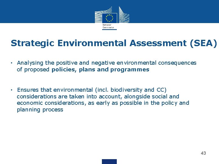 Strategic Environmental Assessment (SEA) • Analysing the positive and negative environmental consequences of proposed
