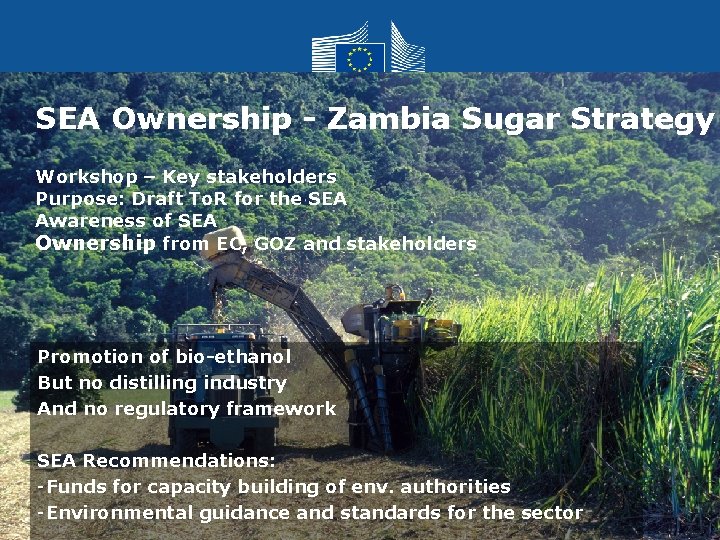 SEA Ownership - Zambia Sugar Strategy Workshop – Key stakeholders Purpose: Draft To. R